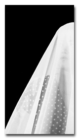 veil